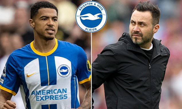 Chelsea Are Still Below Brighton's Valuation For Moises Caicedo, But Seagulls Boss Roberto De Zerbi Has Suggested Offering Levin Colwill The Other Way Could Close The Deal