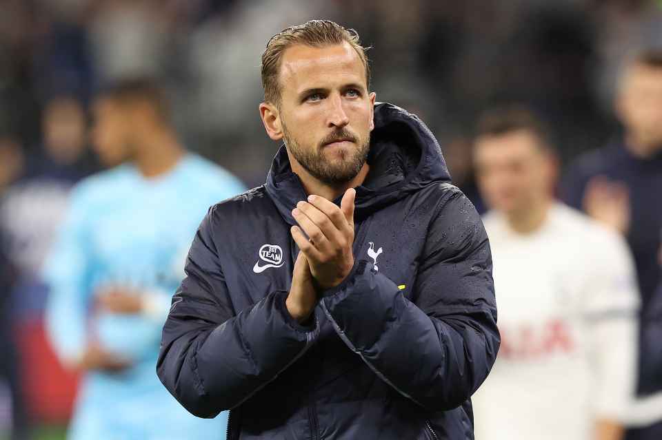 Stuart Pearce Believes Tottenham Might Lose Almost 20 Points Without Harry Kane This Season